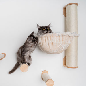 Parede de trepar para gatos - Poste para gatos em sisal XXL com rede 45Ø de Luxe (Bege)