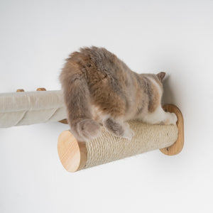 Parede de trepar para gatos - Conjunto de postes de sisal (Bege)