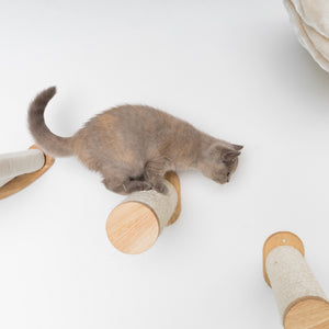 Parede de trepar para gatos - Conjunto de postes de sisal (Bege)