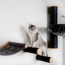 Parede de trepar para gatos - Conjunto de postes de sisal (Blackline)