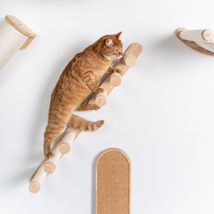 Parede de trepar para gatos - Conjunto de escadas para gatos (Bege)