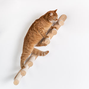 Parede de trepar para gatos - Conjunto de escadas para gatos (Bege)