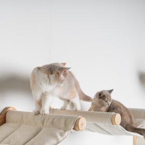 Parede de trepar para gatos - Cama de rede de Luxe XXL (Bege)