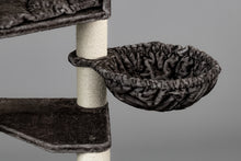 Corner Coon Taupe