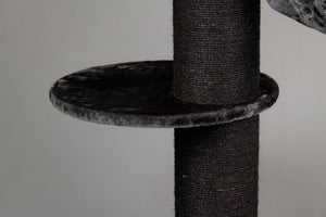 Maine Coon Sleeper Blackline Cinzento Escuro Crown